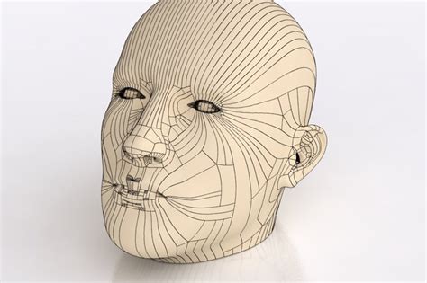 Human Head - SOLIDWORKS - 3D CAD model - GrabCAD