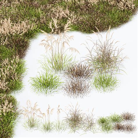 ArtStation - Grass-Dry-Set01 | Resources