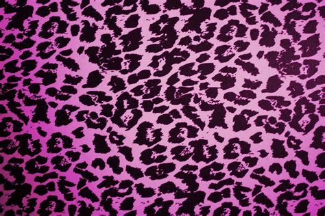 A R T - L A I O ' S: Animal Print.