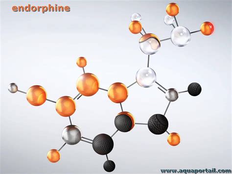 Endorphine