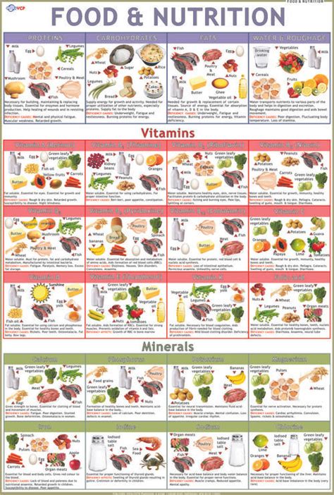 Food Groups Chart at Lowest Price in Delhi - Manufacturer,Supplier,Exporter