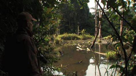 The Mokele-Mbembe Hypothesis de Marie Voignier (2011) - Unifrance