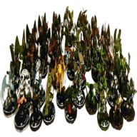 Mage Knight Miniatures for sale| 77 ads for used Mage Knight Miniatures