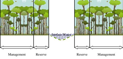 The illustration of a riparian area with management zone and reserve zone | Download Scientific ...