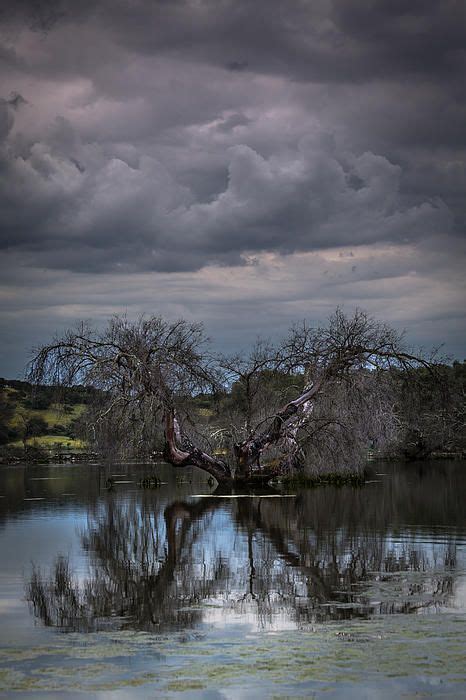 Odd symmetry by Edgar Laureano | Photography reflection, Symmetry, Nature