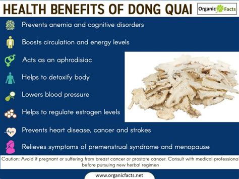 Health benefits of dong quai - infographic | Health, Health and ...