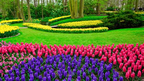 Why the Keukenhof Gardens Should be on your Bucket List. - Trail Seasoning