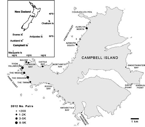 Map of Campbell Island indicating the location and size of Eastern... | Download Scientific Diagram