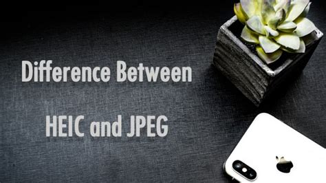 Learn The Difference Between HEIC and JPEG Image!