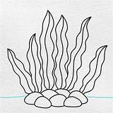 Seaweed Coloring Drawing Clipart Algae Underwater Sea Pages Para  sketch template