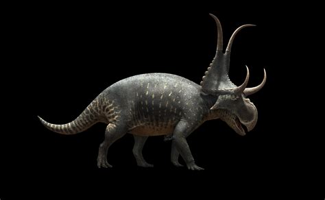 Diabloceratops | Prehistoric Wiki | Fandom