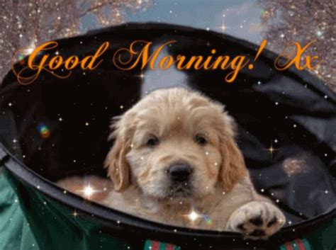 Good Morning GIF - Good Morning Love - Discover & Share GIFs