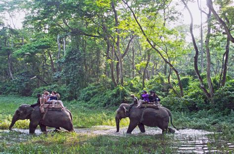 Chitwan National Park | Everything for your trip to Chitwan