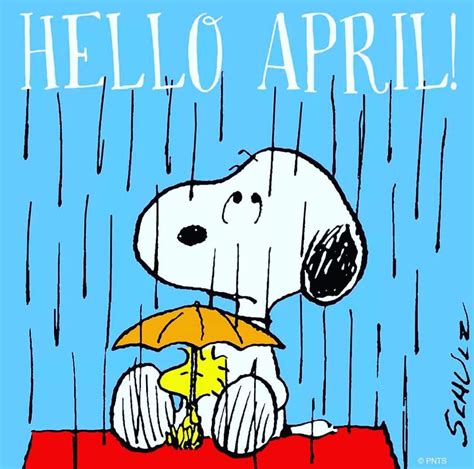 Hello April - Snoopy Sitting on Top of His Doghouse in the Rain With ...