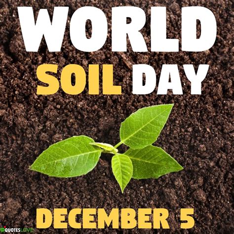 WORLD SOIL DAY, 5 DECEMBER! – THE GLOBAL WINDOW OF TURKISH FOOD AND AGRICULTURE