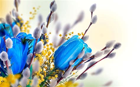 80 Wallpaper Bunga Tulip Biru Picture - MyWeb