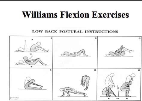 williams low back exercises > OFF-55%