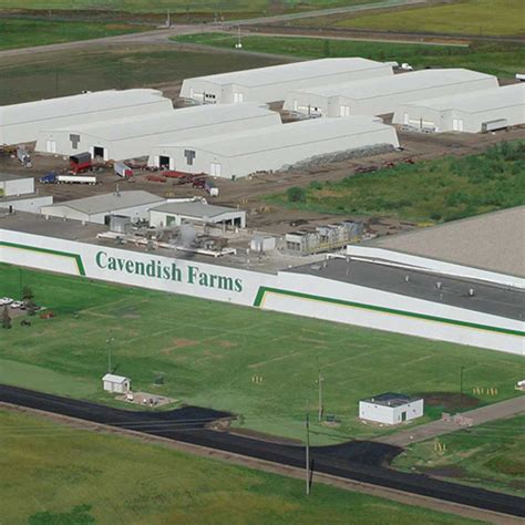 Our Story | Our Business | Our Values | Cavendish Farms