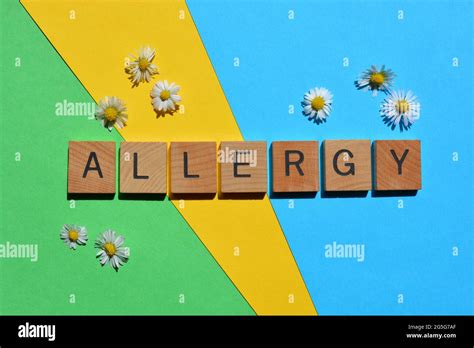 Allergy, word in wooden alphabet letters surrounded by daisy flowers isolated on brightly ...