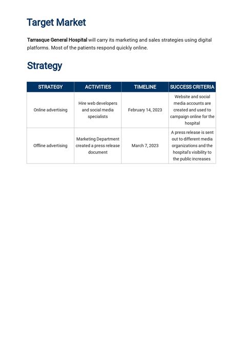 Hospital Marketing Plan Template in Google Docs, Word, Apple Pages ...