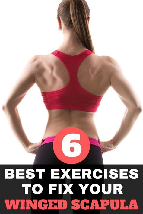 6 Best Exercises To Fix Your Winged Scapula | Scapula exercises, Winged ...