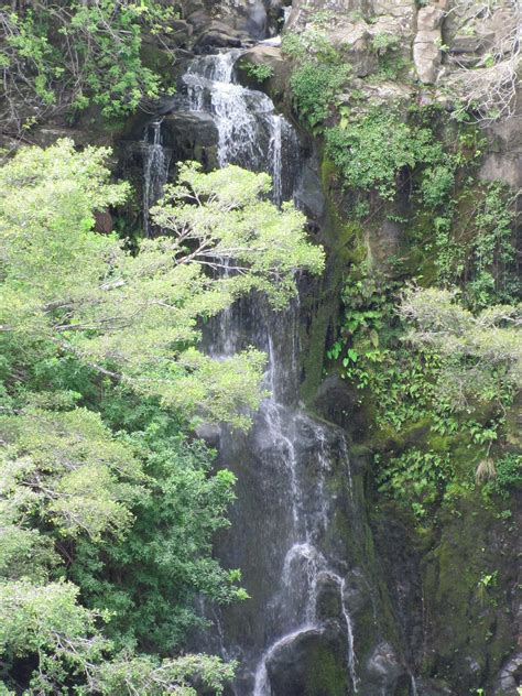 Kohala Waterfalls Adventure - All You Need to Know BEFORE You Go (2024)