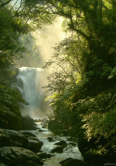 Beautiful Waterfall Gif Pictures, Photos, and Images for Facebook, Tumblr, Pinterest, and Twitter