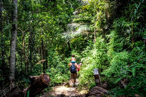 Penang National Park (Official GANP Park Page)