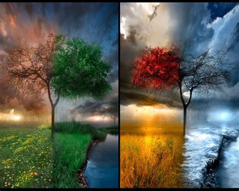 The Four Seasons Weather Art poster pring weather changes