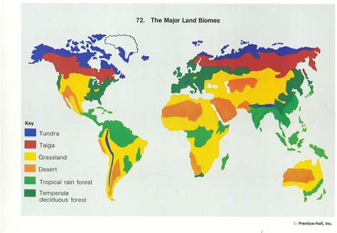 Printable World Biome Map