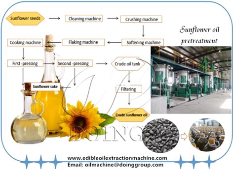 Sunflower oil extraction machine manufacturer, supplier. Provides high ...