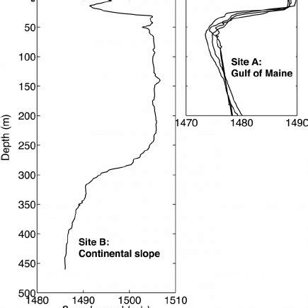 (Color online) (A) Spectrogram of a series of sperm whale echolocation ...