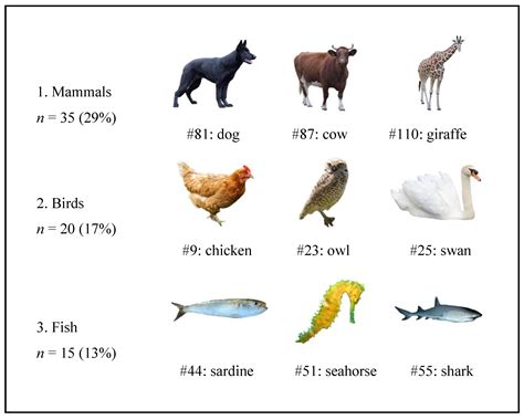 animal affinity 3.5 - yzhu415