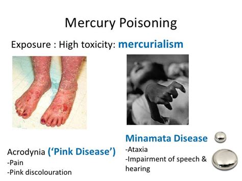 Mechanisms Of Bacterial Resistance Against Mercury Toxicity