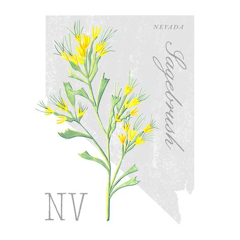 Nevada State Flower Sagebrush Art by Jen Montgomery Painting by Jen Montgomery - Pixels