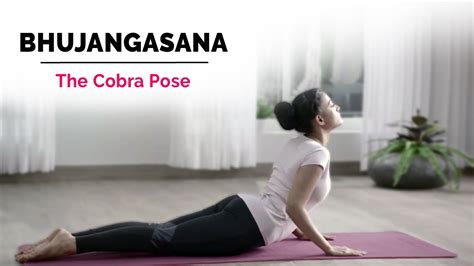 Bhujangasana | Cobra Yoga Pose | Steps | Benefits | Yogic Fitness - Gold Card Fitness