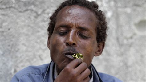 Khat traders, farmers take a hit amid coronavirus pandemic ...