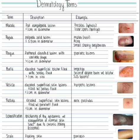 Dermatology Skin Conditions 2 Pages Printable Pdf Immediate Download - Etsy