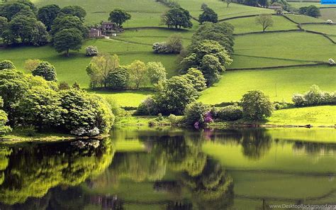 English countryside in Spring, Trees, Fields, Lakke, Green, HD ...