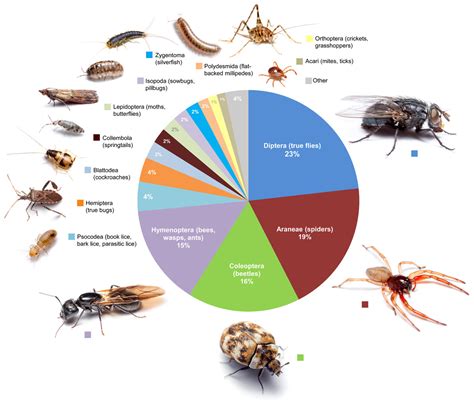 科学网—PeerJ：首次发现家里也存在生物多样性 - 诸平的博文