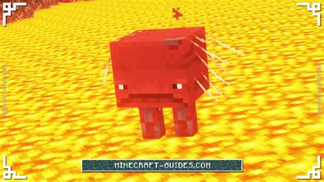 How to Ride a Strider in Minecraft - Minecraft Guides Wiki