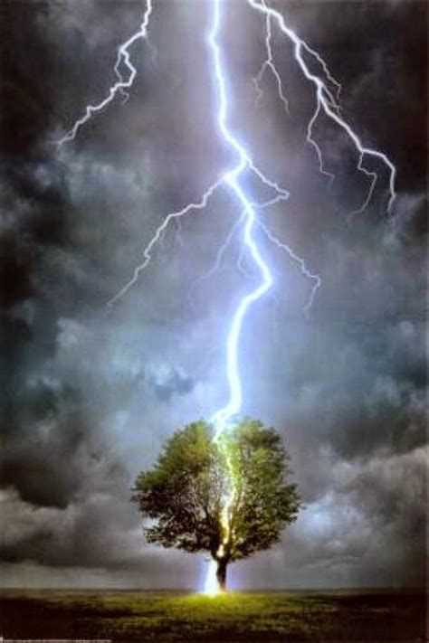 tree struck by lightning - Google Search | Lightning strikes, Lightning, Framed art prints