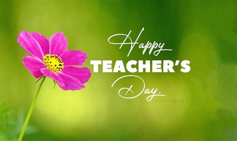 150+ Teachers Day Wishes, Messages and Quotes | Teachers day wishes, Happy teachers day wishes ...