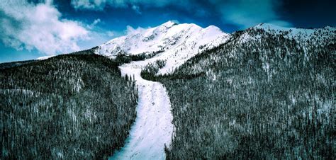 Avalanche Path | Images | Colorado Encyclopedia