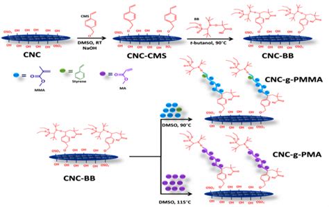 Graft Modification of Cellulose Nanocrystals – Cunningham Lab