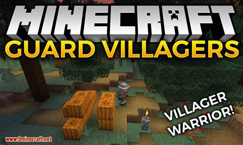 Guard Villagers Mod 1.17.1/1.16.5 (Villagers Warriors) : Minecraft