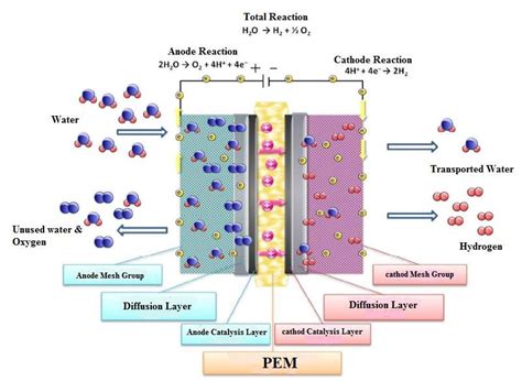 PEM electrolysis Stack | Download Scientific Diagram