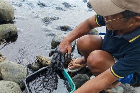 Some tourism spots affected by Mindoro oil spill: DOT | ABS-CBN News