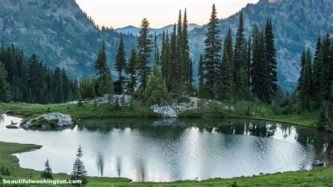 Tipsoo Lake - Naches Peak Loop Trail