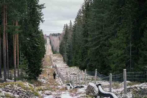 フィンランド、ロシア国境にフェンス建設開始 写真2枚 国際ニュース：AFPBB News